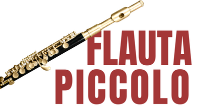 Flauta Piccolo