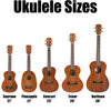 SUNLITE Concert Ukulele 100 Series