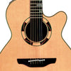 TAKAMINE Legacy Series Acoustic/Electric 6-String Guitar - Gloss Natural