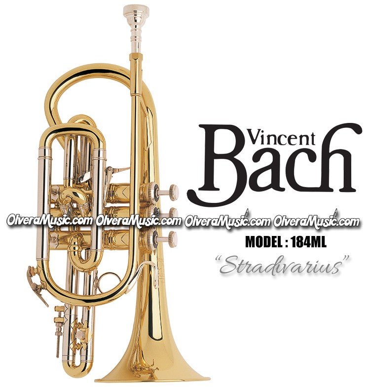 BACH "Stradivarius" Professional Cornet - Lacquer Finish