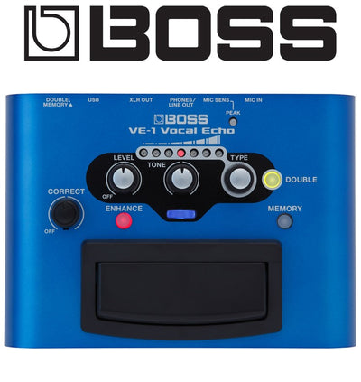 BOSS Vocal Echo