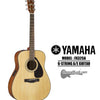 YAMAHA F-Series Acoustic/Electric 6-String Guitar