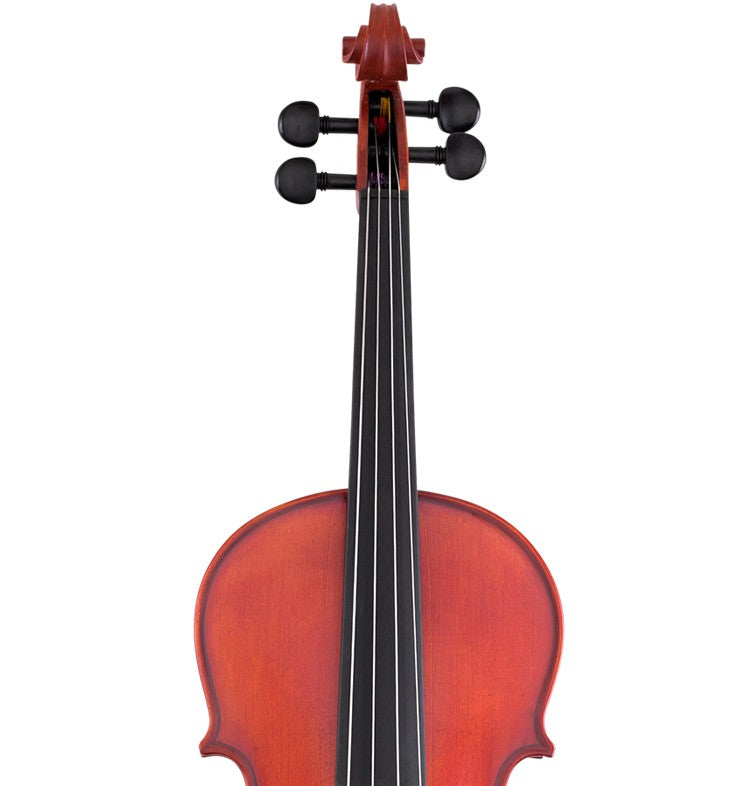 SCHERL & ROTH Student Model Viola