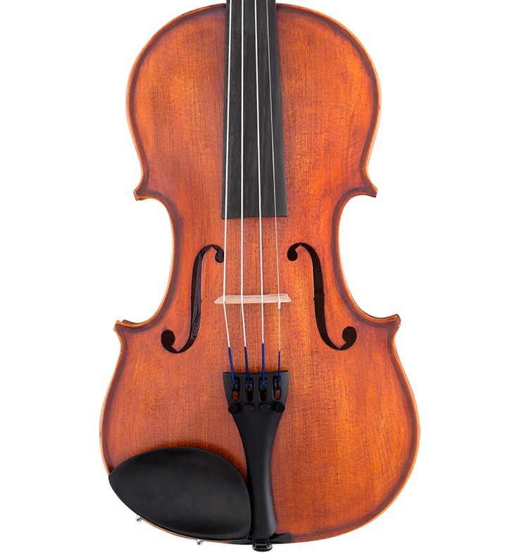 SCHERL & ROTH Student Model Viola