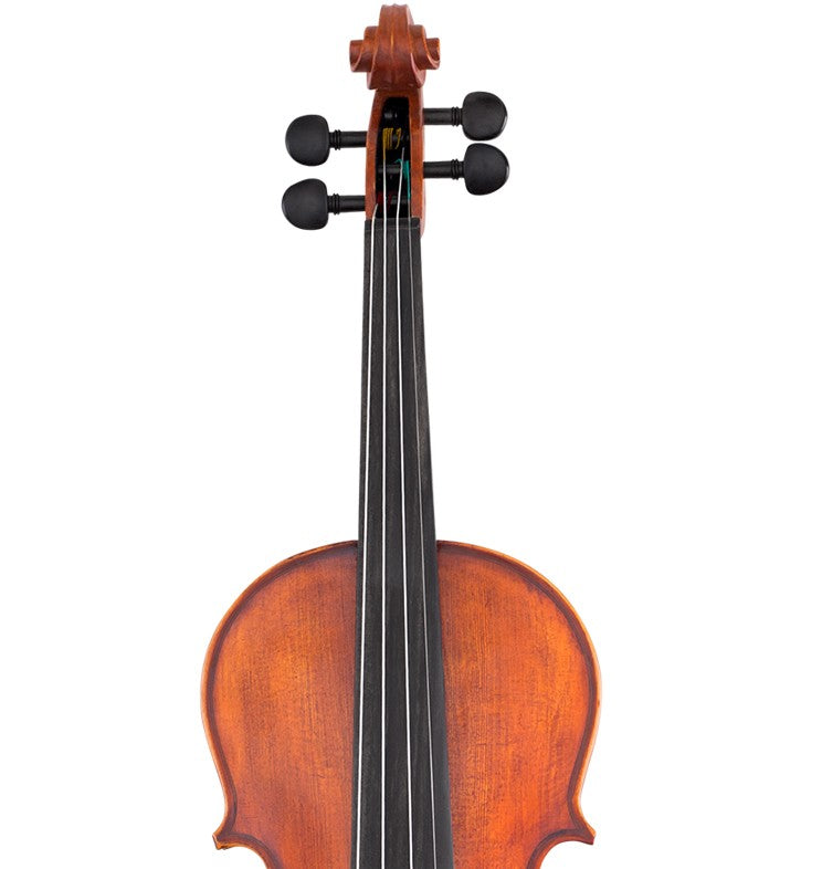 SCHERL & ROTH Student Model Viola