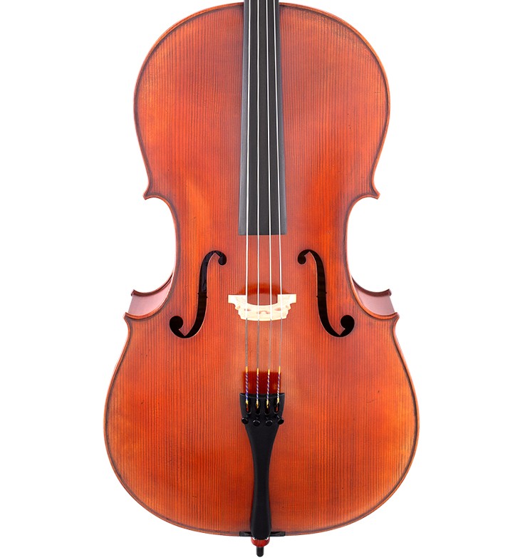 SCHERL & ROTH Professional 4/4 Cello