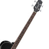 TAKAMINE 4-String Acoustic/Electric Bass - Black