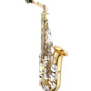 JUPITER Student Model Eb Alto Saxophone - Lacquer Finish