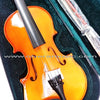 ROSSETTI Student Model Violin Outfit - 1/2 Size