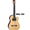 TAKAMINE Classical & Hirade Acoustic/Electric Guitar - Gloss Natural Finish