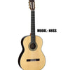 TAKAMINE Classical & Hirade Guitar - Gloss Natural Finish