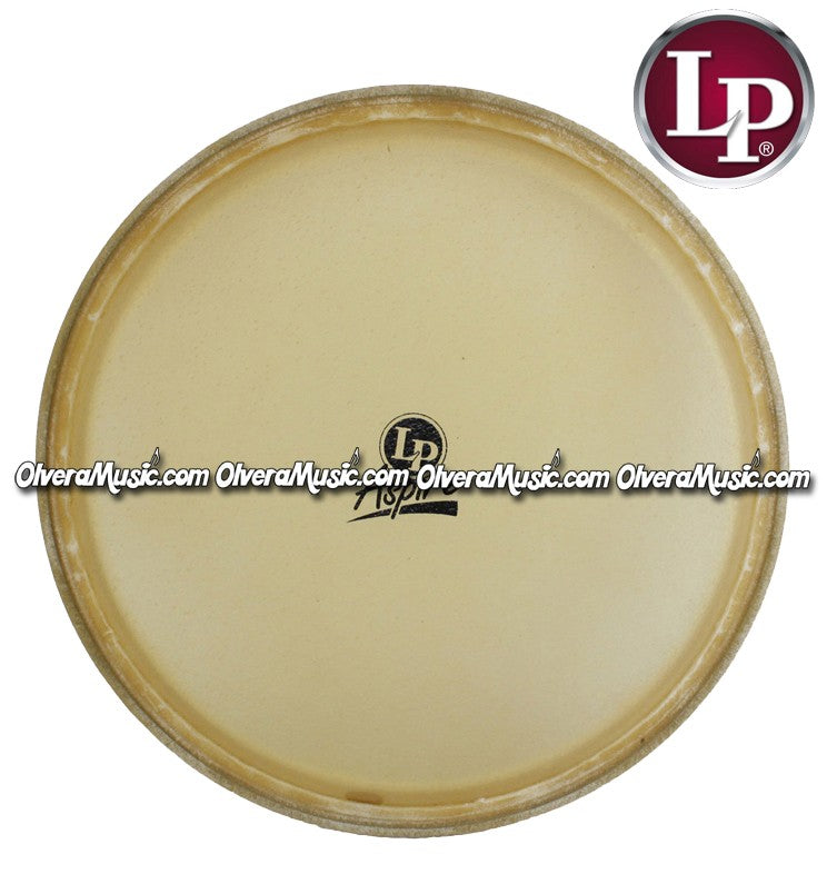 LP Aspire Series Quinto 10" Rawhide Head