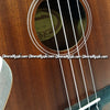 SUNLITE Tenor Ukulele 100 Series